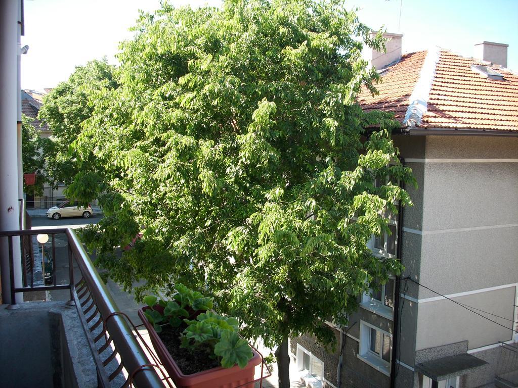 Georgievi Guest House Πομόριε Εξωτερικό φωτογραφία